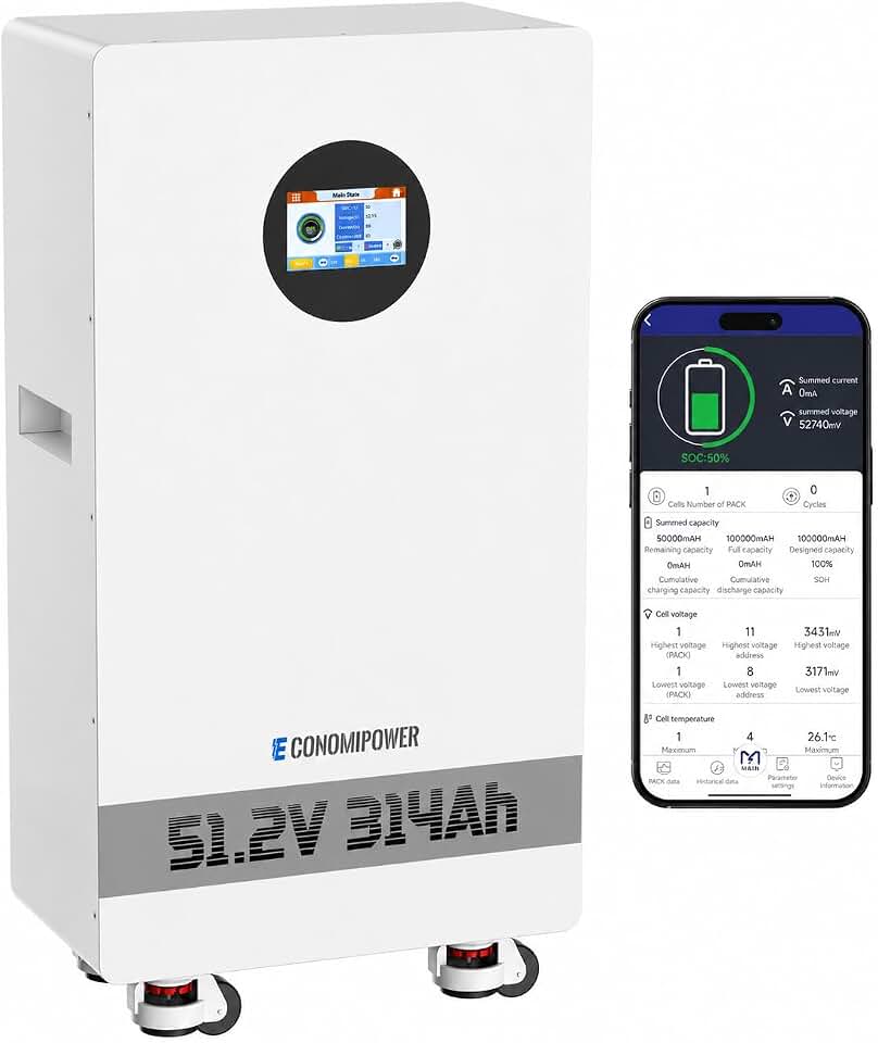 48V 300Ah (314Ah) LiFePO4 Lithium Battery, 16KWh Solar Storage with RS485/CAN,8000+ Cycles 48V Battery with 200A BMS(PACE) for Photovoltaic System, RV Off-Grid, Home Use