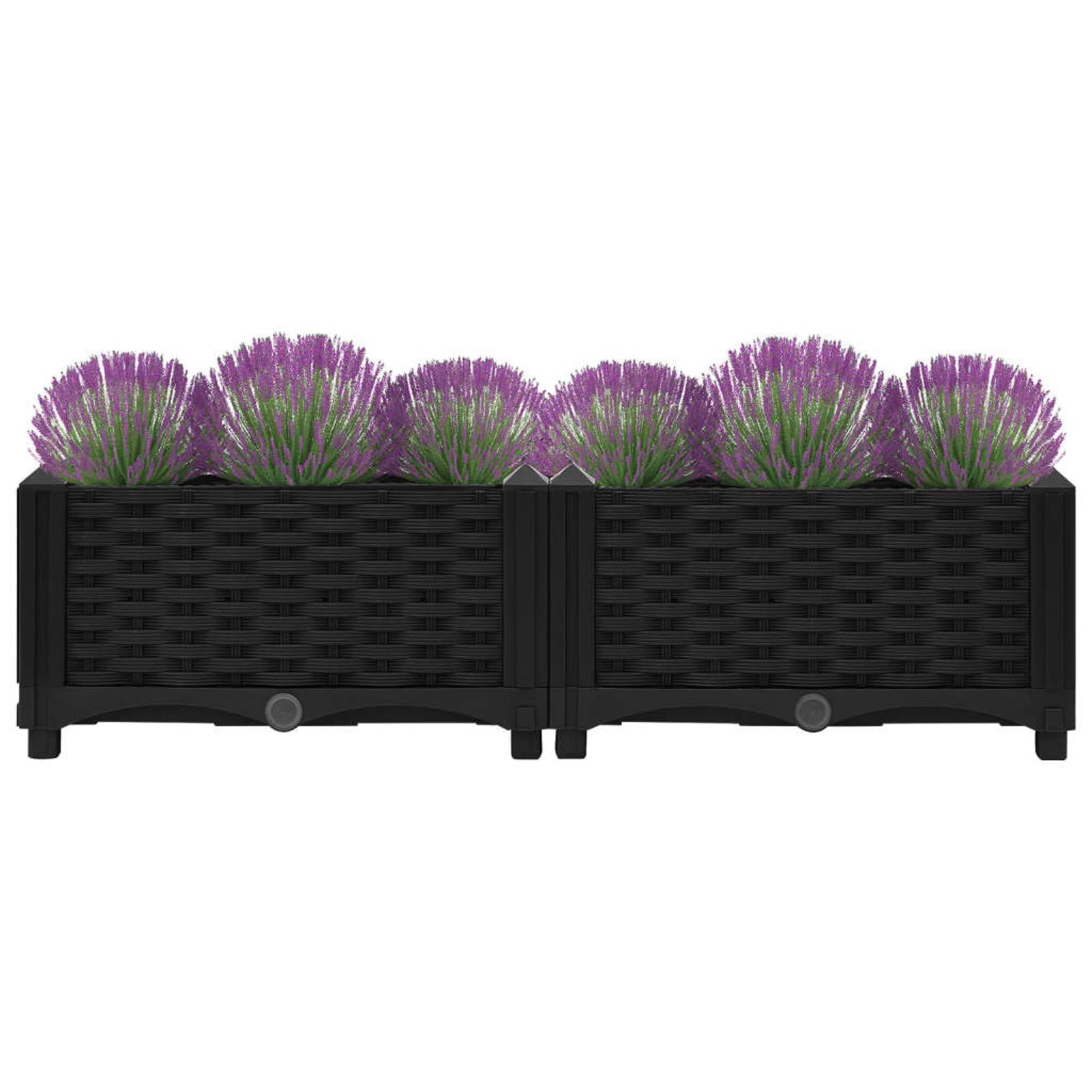 ShGaxin Arriate, Tavolo Da Coltivo, Orto Domestico, Arriate Da Giardino, Coltivazione Di Piante Aromatiche, 80x40x23 cm Polipropilene