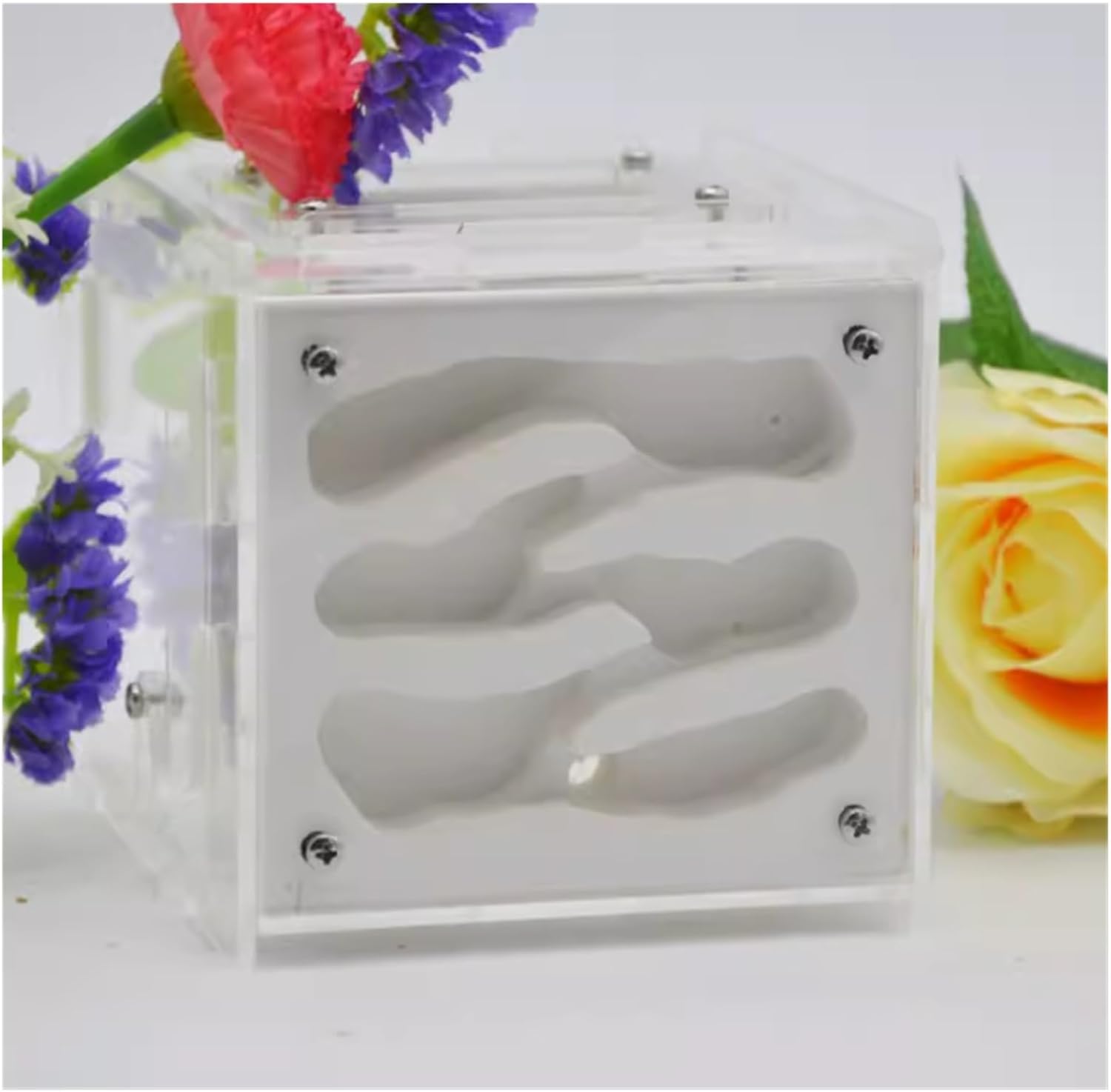 Ant Farm Ant Farm DIY Habitat House with Feeding Area Nest Ecological Workshop Castle Habitat(White)