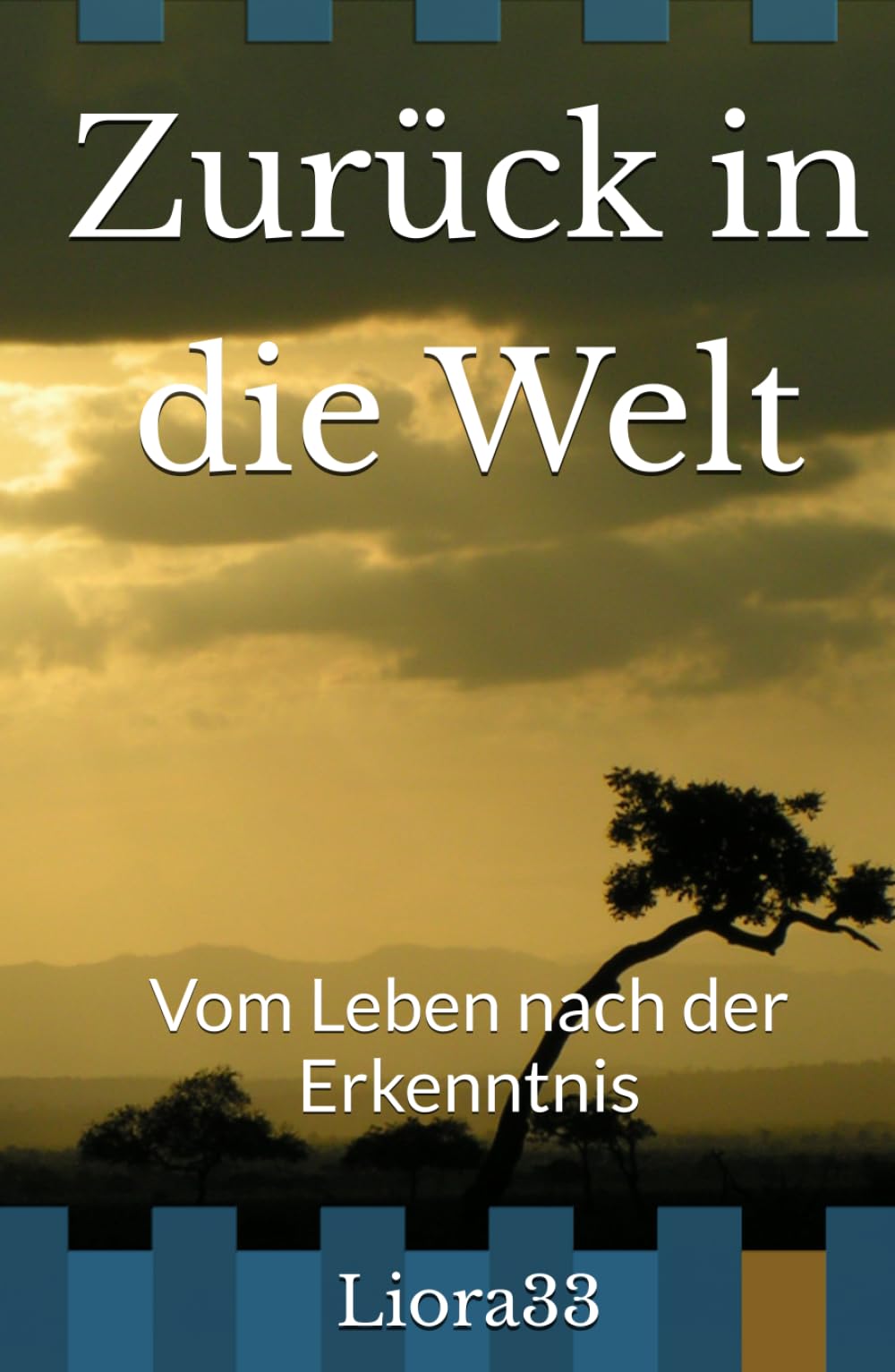 Zurück in die Welt: Vom Leben nach der Erkenntnis