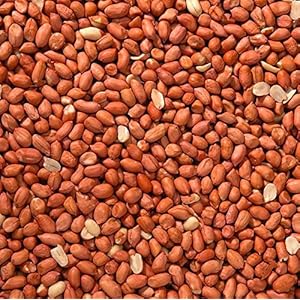 Trusty® Pet Supplies Wild Bird Peanuts 5kg