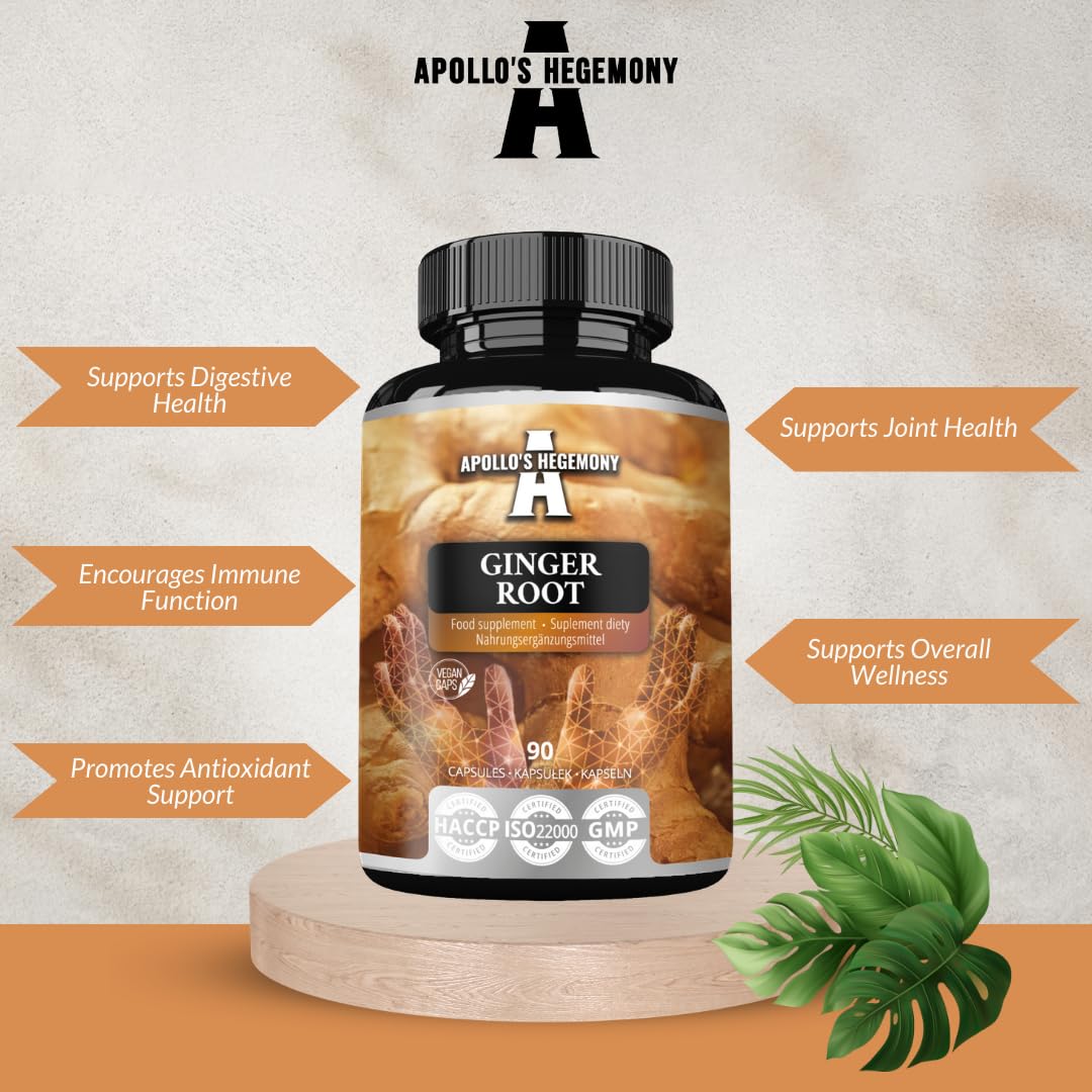 Ginger Root 500 mg, Extract contains 5% Gingerols, 90 Vegan Capsules, 3 Months Supply, Ginger Herbal Supplements for Digestive Comfort and Immune Support - by Apollo's Hegemony