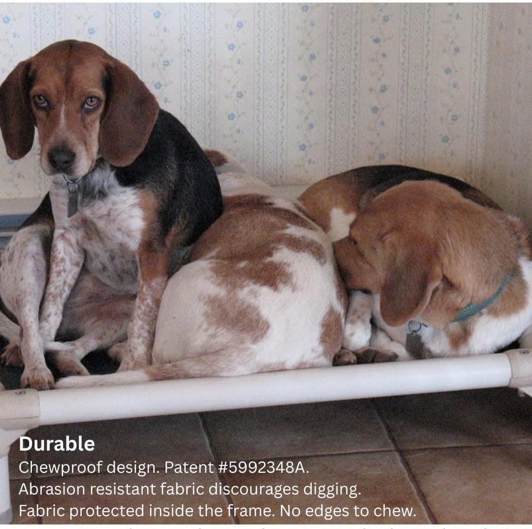 Kuranda Chewproof Elevated Dog Bed – 40" x 25" - Sunsure Textilene - Sierra