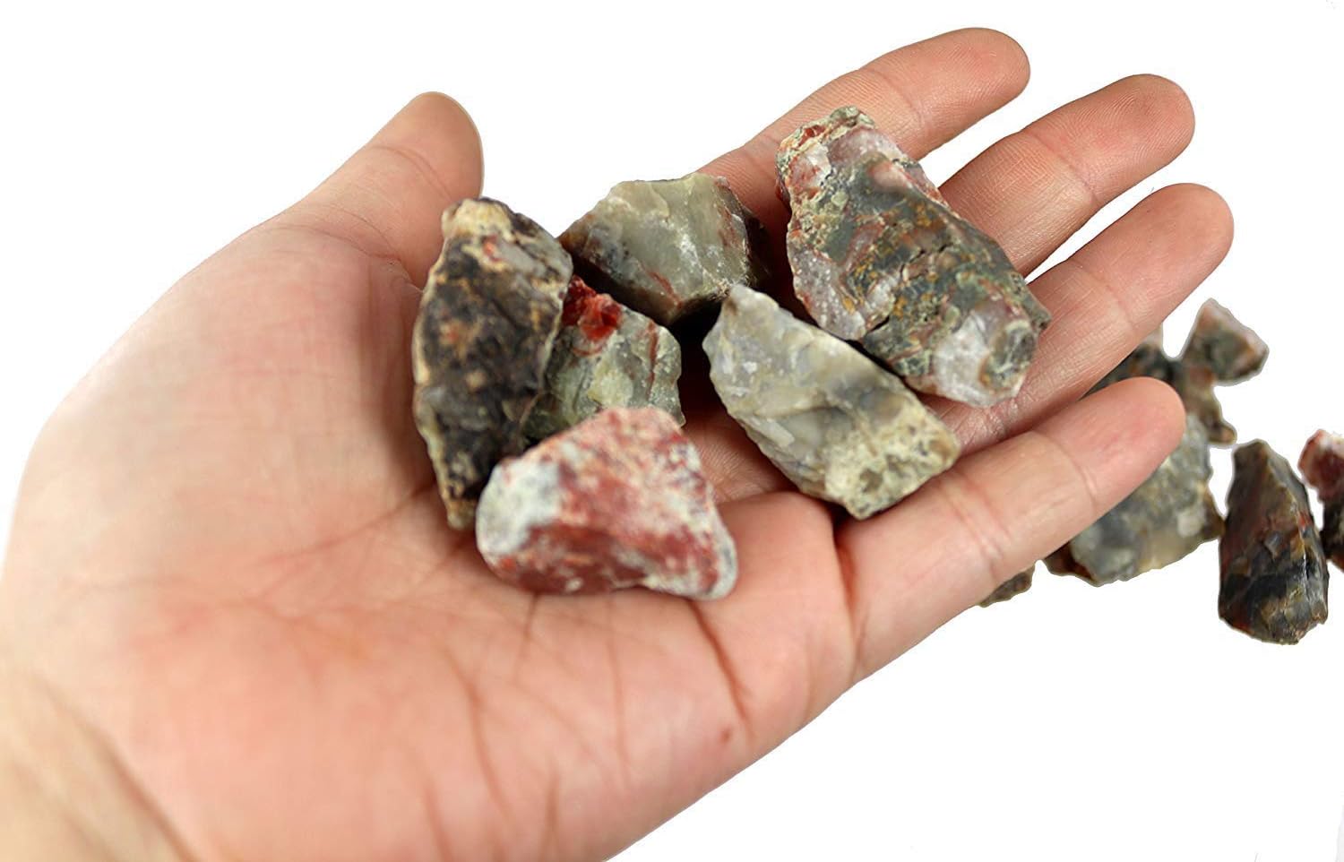 Fossil Dinosaur Poops - Fossil Collection - Genuine Coprolite Fossil - Dino Dung - 4oz Gift Bag - Unusual Gift - Happiness Stone