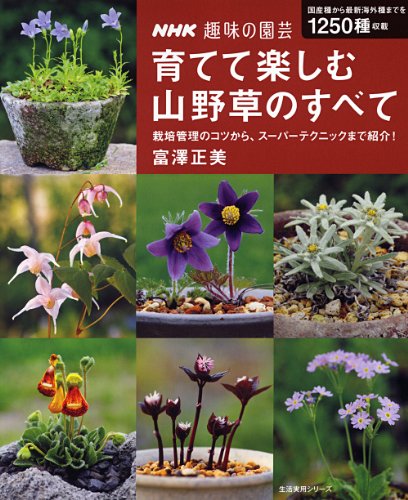 モノドラカンアオイと僕【美しすぎるジャパニーズビザールプランツ