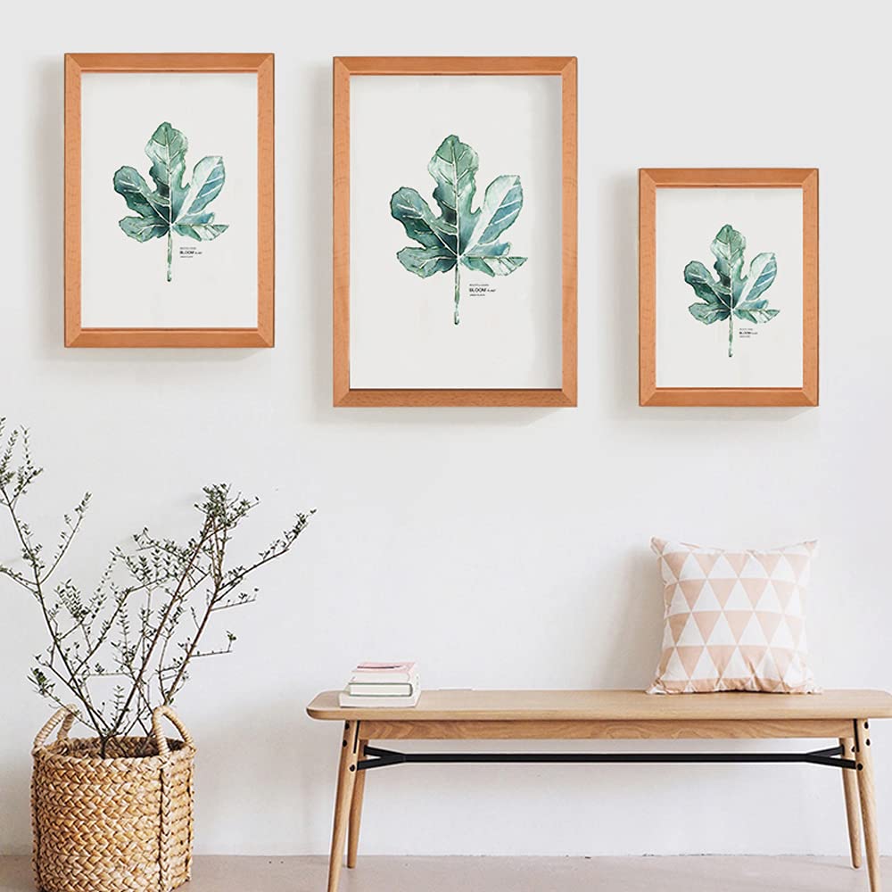 Cadre Photo, Cadres Photo rectangulaires en Bois A4/A3, herbier en Verre Transparent Double Face for Cadres de Fleurs pressées, Affichage de Feuilles séchées, Bureau (Color : Zelkova, Size : A3 (inn
