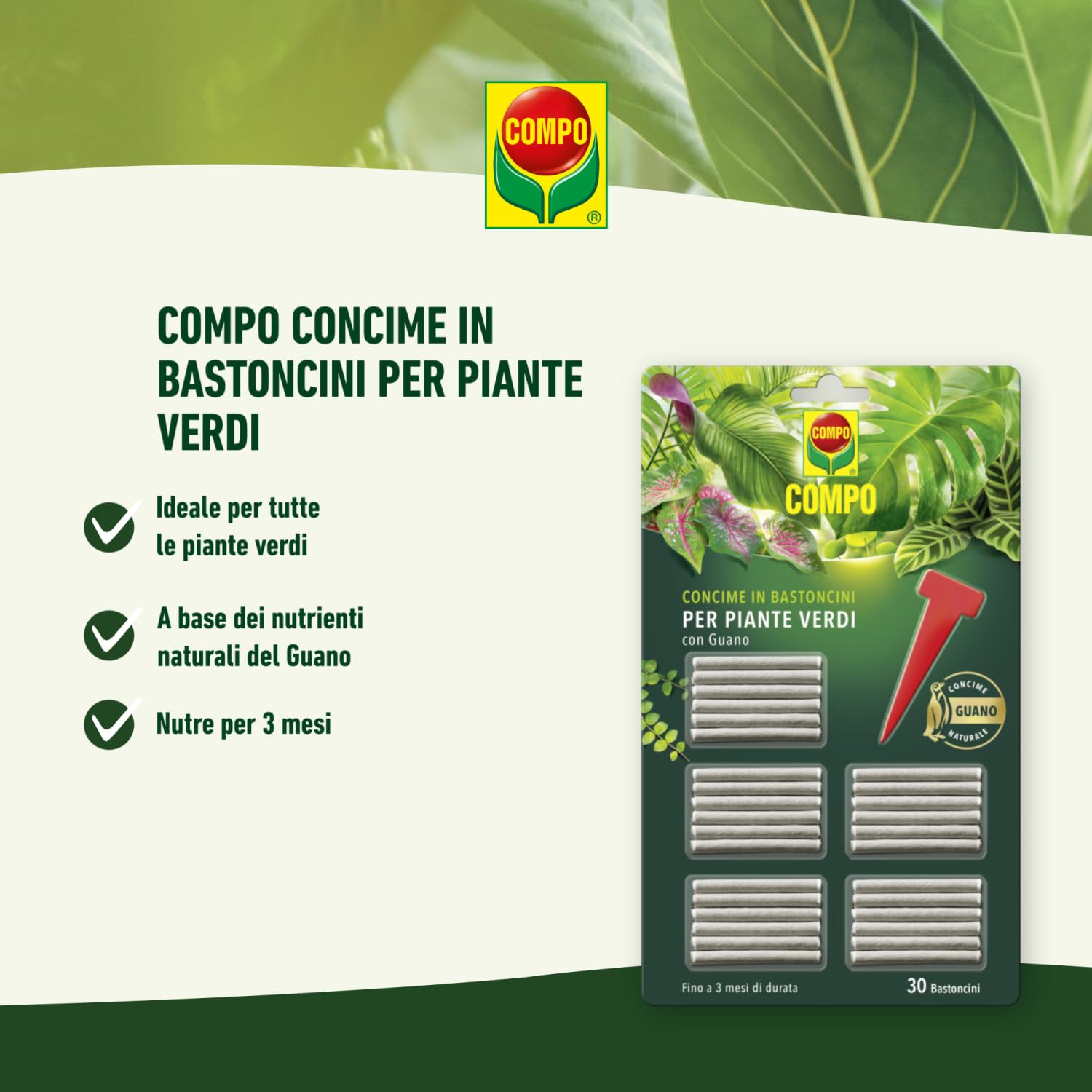 COMPO Green Plant Fertilizer Sticks with Guano 30 Sticks (27g) : Amazon.it:  Garden
