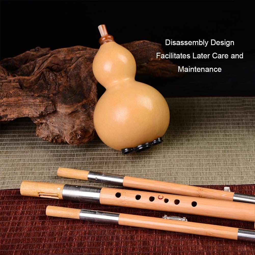 Professionnel Hulusi Flûte en bambou chinois fait à la main Instruments à vent musicaux ethniques pour débutants (Minor D key)
