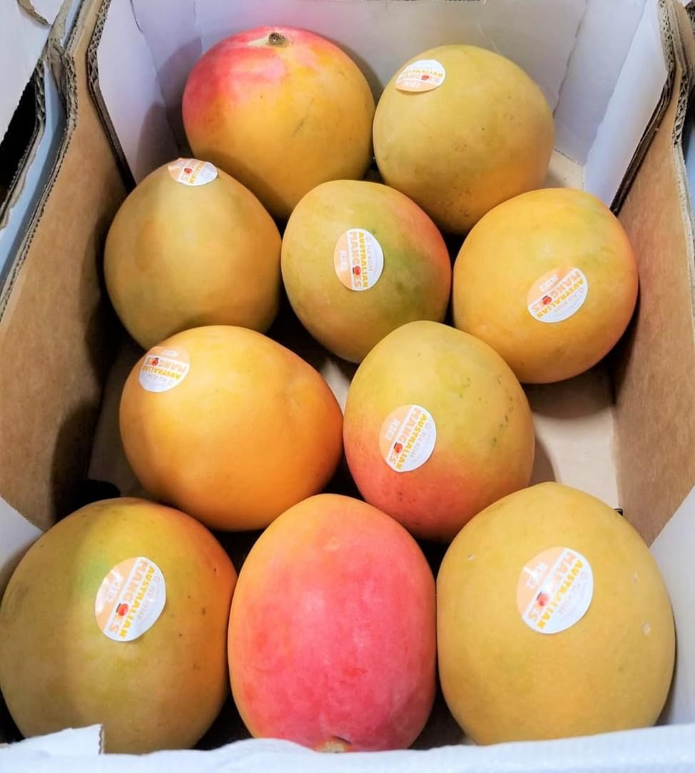 GARDENOPOLIS - R2E2 Mango Plant - Grafted, Exotic & Rare Variety - Early Fruiting Plant - Shipped in Safe & Secured Packaging (7 Feet) (B0CBH1TCZ2) Amazon Price History, Amazon Price Tracker