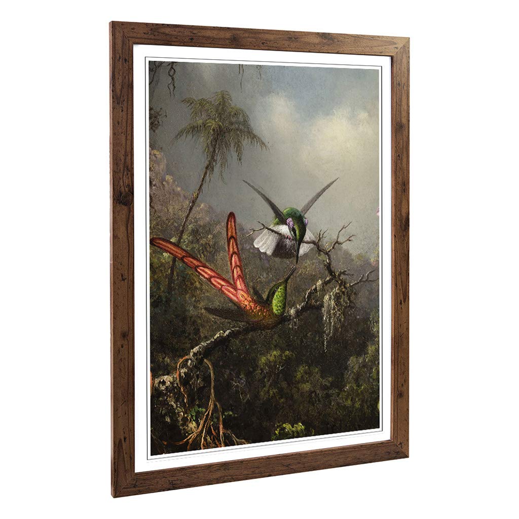 Big Box Art Framed Print of Martin Johnson Heade Orchid with Two Hummingbirds Design | Wall Art Picture| Home Decor for Kitchen, Living Room, Bedroom, Hallway, Walnut, A2 / 24.5x18 Inch / 62x45cm