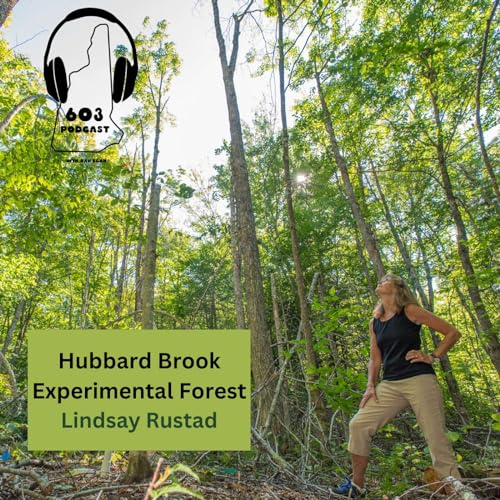 Hubbard Brook Ecosystem Study: Lindsey Rustad on Connecting Science and Community Podcast Por  arte de portada