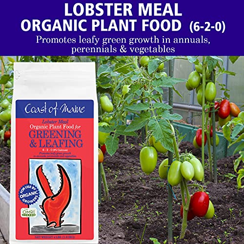 Coast Of Maine Lobster Meal - Organic Plant Food, Soil Amendment, Greening And Leafing, All-Natural Plant Food Fertilizer #TOP4