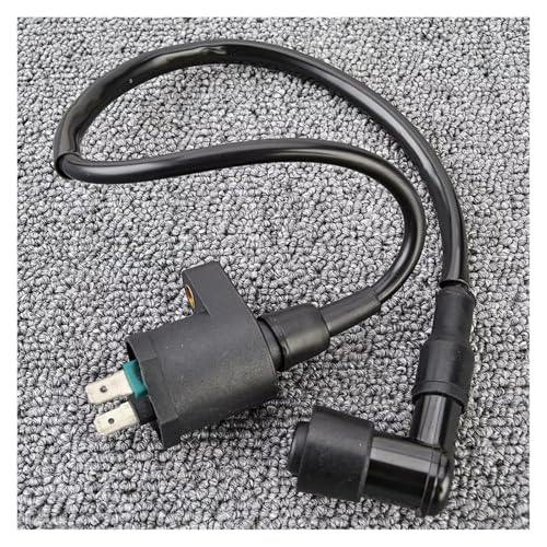 Bobina de encendido para motos T-rex y Skymax Sport Utility con rendimiento estable 6