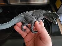 Review Image by N. Mossey