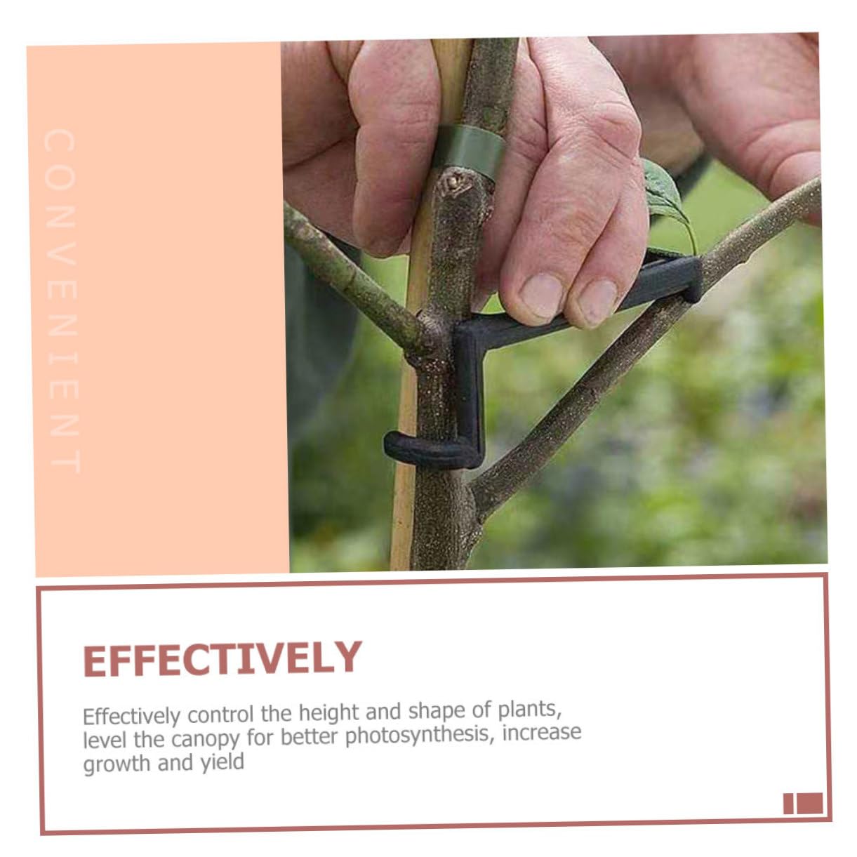 INOOMP 50stücke Teiliges Pflanzenzweig Spreizer Verstellbare Clips Zur Unterstützung Von Pflanzen Für Effektives Biegen Und Formen Von Obstbäumen Und Gartenpflanzen