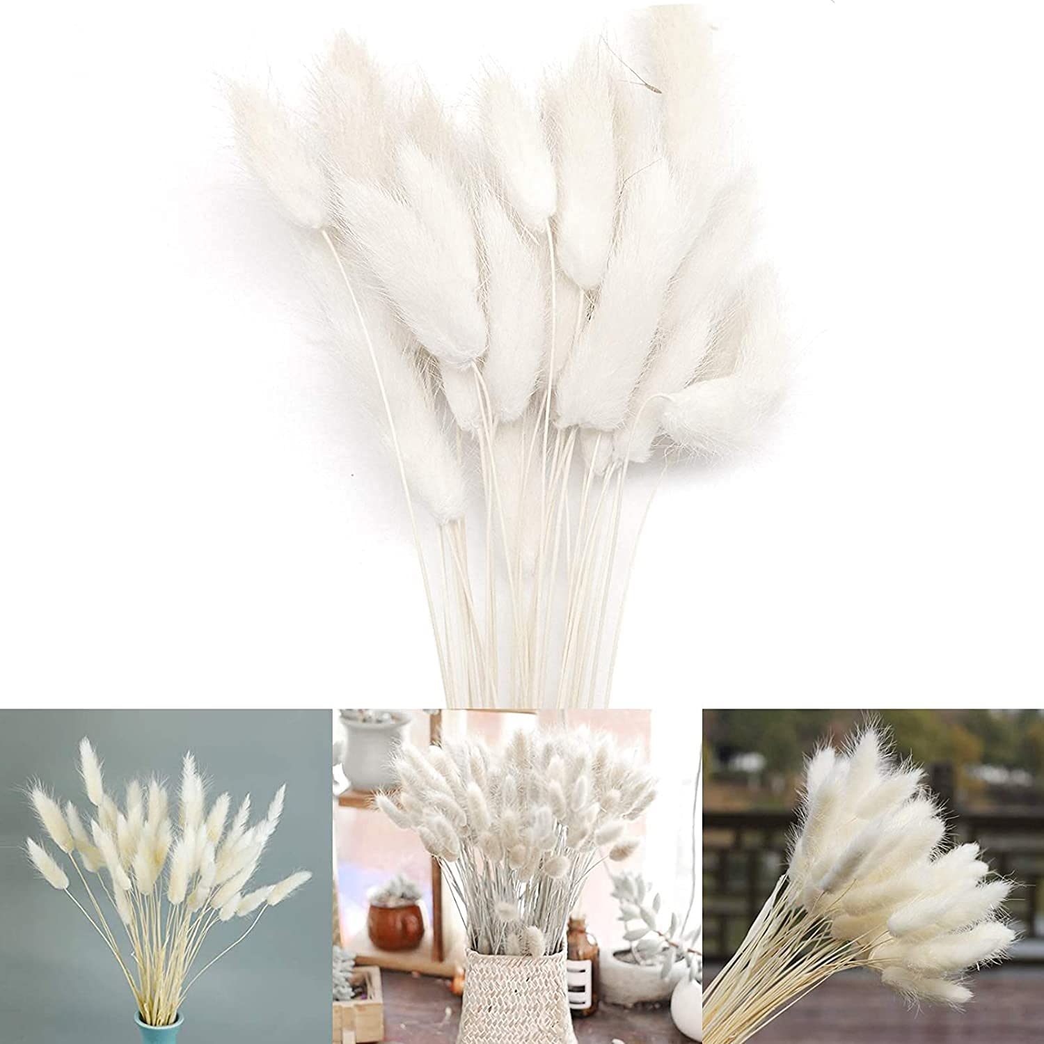 Droogbloemen zijn een ware interieurhit en wel hierom