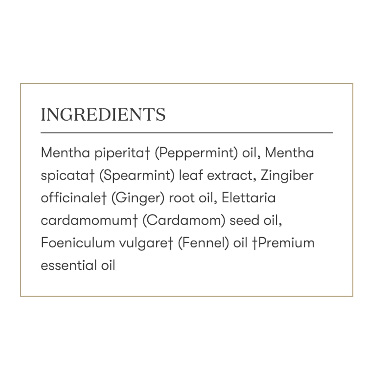 AromaEase 5 ml ( Aroma Ease ) Essential Oil by Young Living Essential Oils