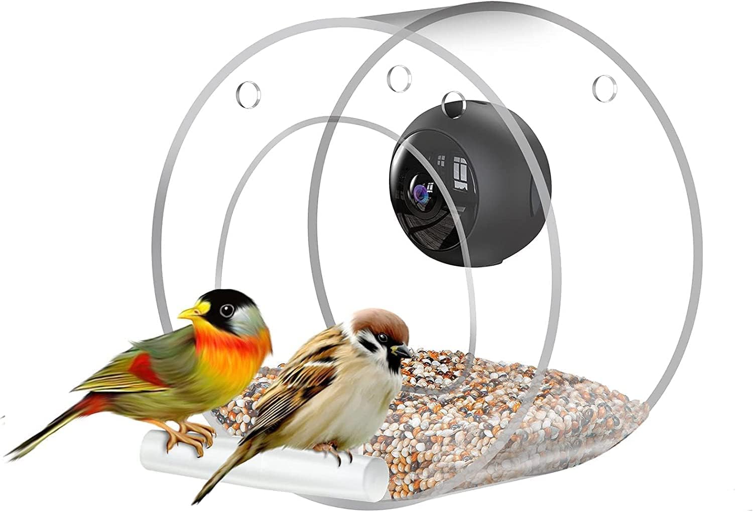 Bird Feeder with Watching Camera: 1080P Night-Version Camera, 170° Ultra Wide-Angle Lens, 2.4G WiFi Hotspot Remote Connection with Cellphone for Bird Watching, for Family