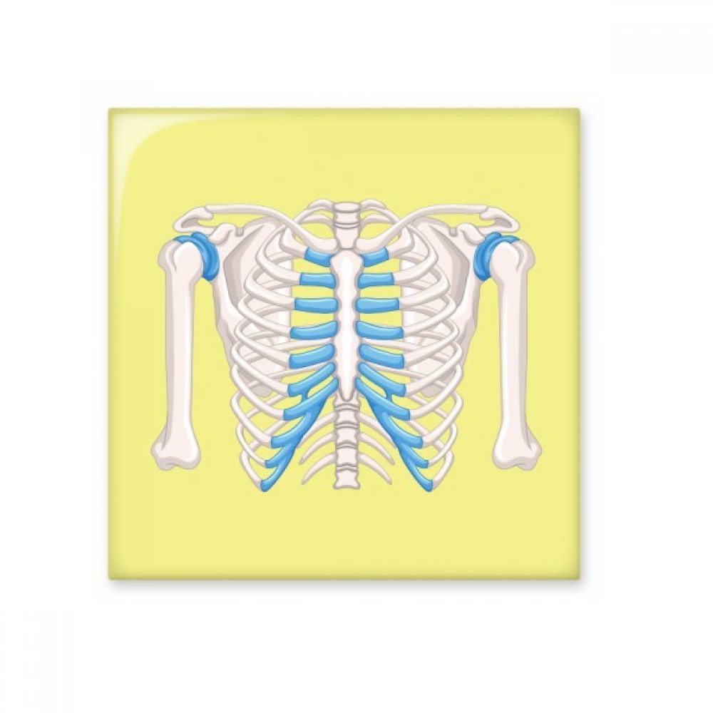 Carrelage rib thoracique DIYthinker pour un mur de cuisine ou salle de bain