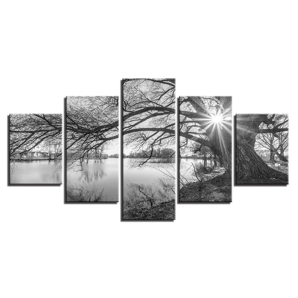 Tableau deco mural 100x50cm habiller un grand mur vide salon style noir et blanc