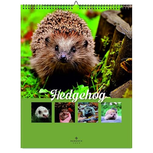 January 2027 - December 2027 Hedgehog Wall Calendar 8.5x11 Monthly Wildlife Photography 12 Month Animal Calendar Stunning Nature Images Gift for Animal Lovers, Kids Adults