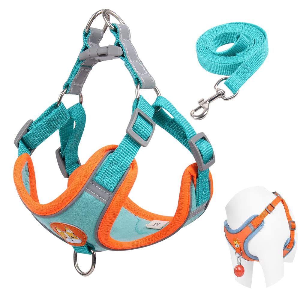 Beauenty Small Dog Harness No Pull, Adjustable Dog Harness with 2 Leash Clips, Easy Control Padded Dog Vest Harness, Reflective Puppy Harness and Leash Set (L, Blue)