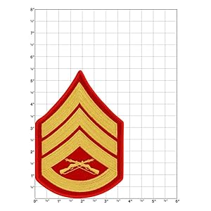US Air Force Colonel Rank Patch OCP - Offizieller Aufnäher - 5,1x5,1 Cm - Klettverschluss