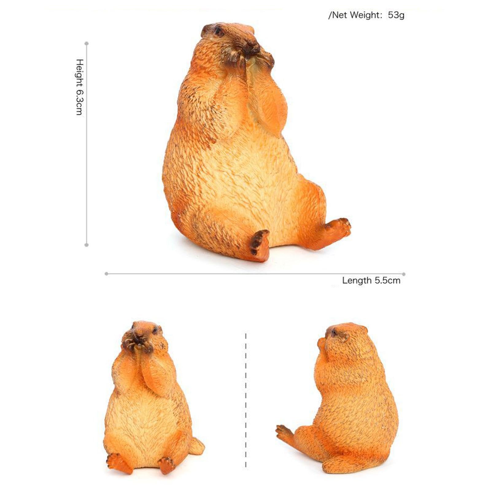 Amazon.co.jp: kowaku マーモットおもちゃシミュレーション動物