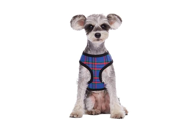 Foto 5 de 6 de Arneses para perros, arnés de algodón suave a cuadros para perros pequeños, arnés para mascotas