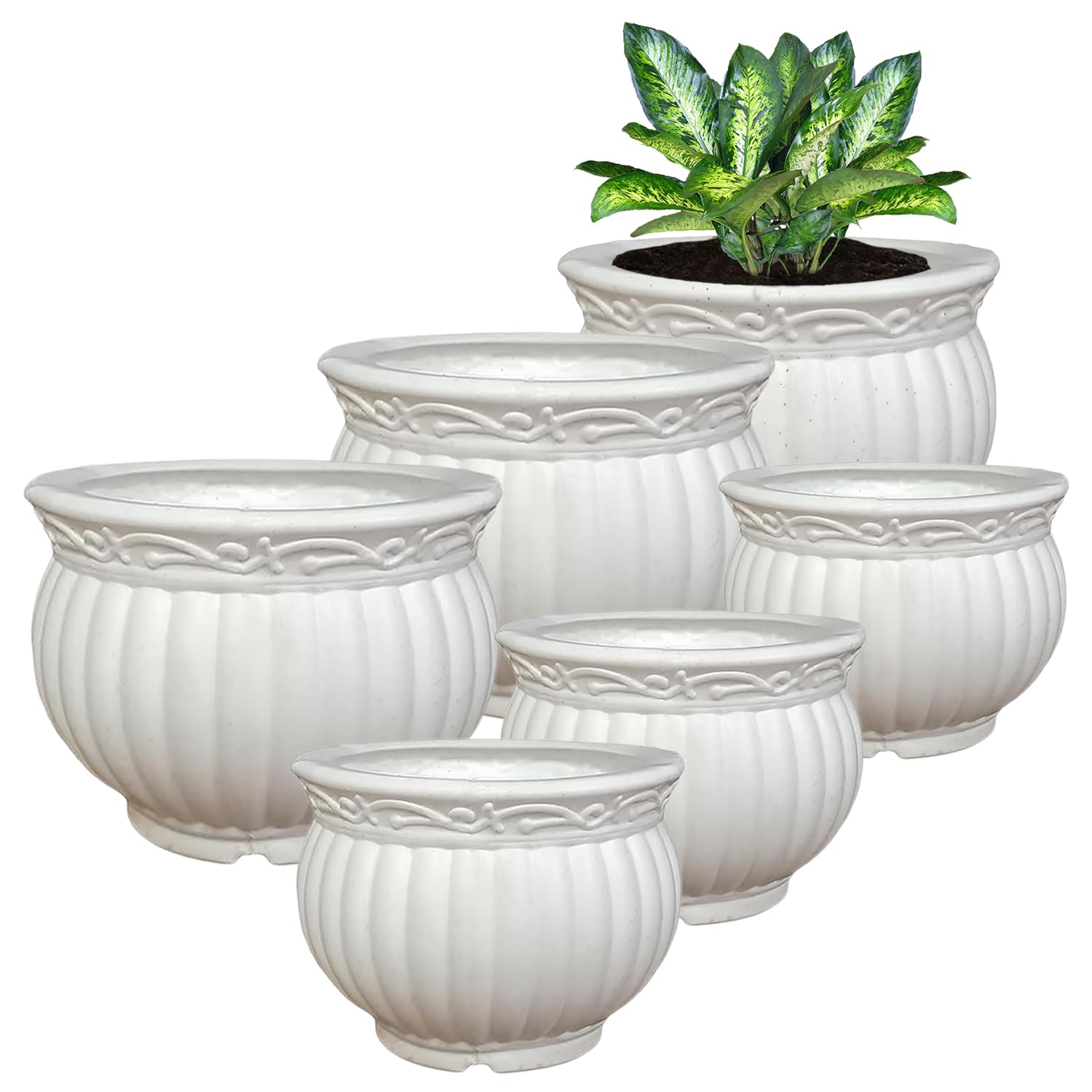 See full amazon price history chart for Heart Home Kanha Matki Flower Pot | Flower Planter Pots for Indoor | Flower Pots for Outdoor | Pot for Garden & Balcony Flowering | Flower Plants Pot | 6-8 Inch | Pack of 6 | White Heart Home Kanha Matki Flower Pot | Flower Planter Pots for Indoor | Flower Pots for Outdoor | Pot for Garden & Balcony Flowering | Flower Plants Pot | 6-8 Inch | Pack of 6 | White (B0CKNCH412) Amazon Price History, Amazon Price Tracker