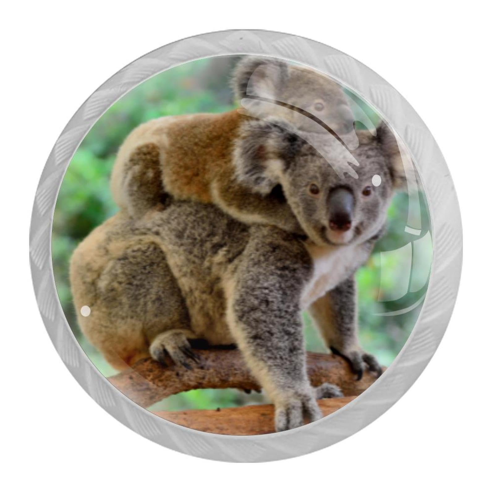 Tqmspg 4 Pieces Drawer Pulls Cute Koalas Door Knobs Dresser Handles for Kitchen Wardrobe Cupboard Hardware Furniture