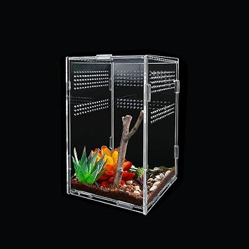 Reptile Feeding Box Transparent Reptile Habitat Breeding Box
