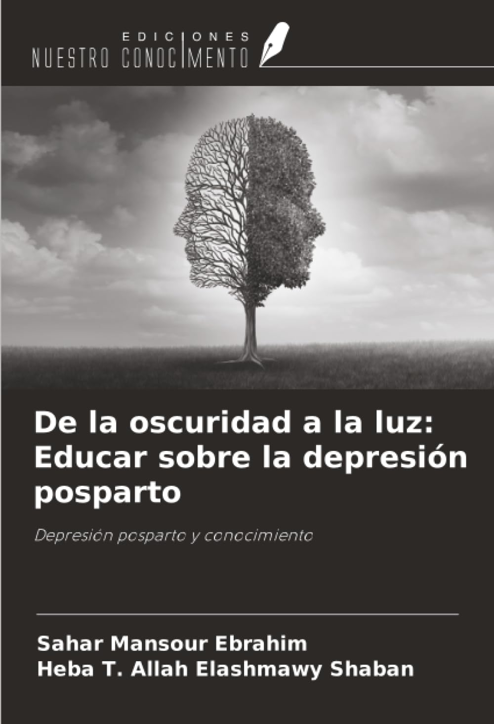 De la oscuridad a la luz: Educar sobre la depresión posparto: Depresión posparto y conocimiento