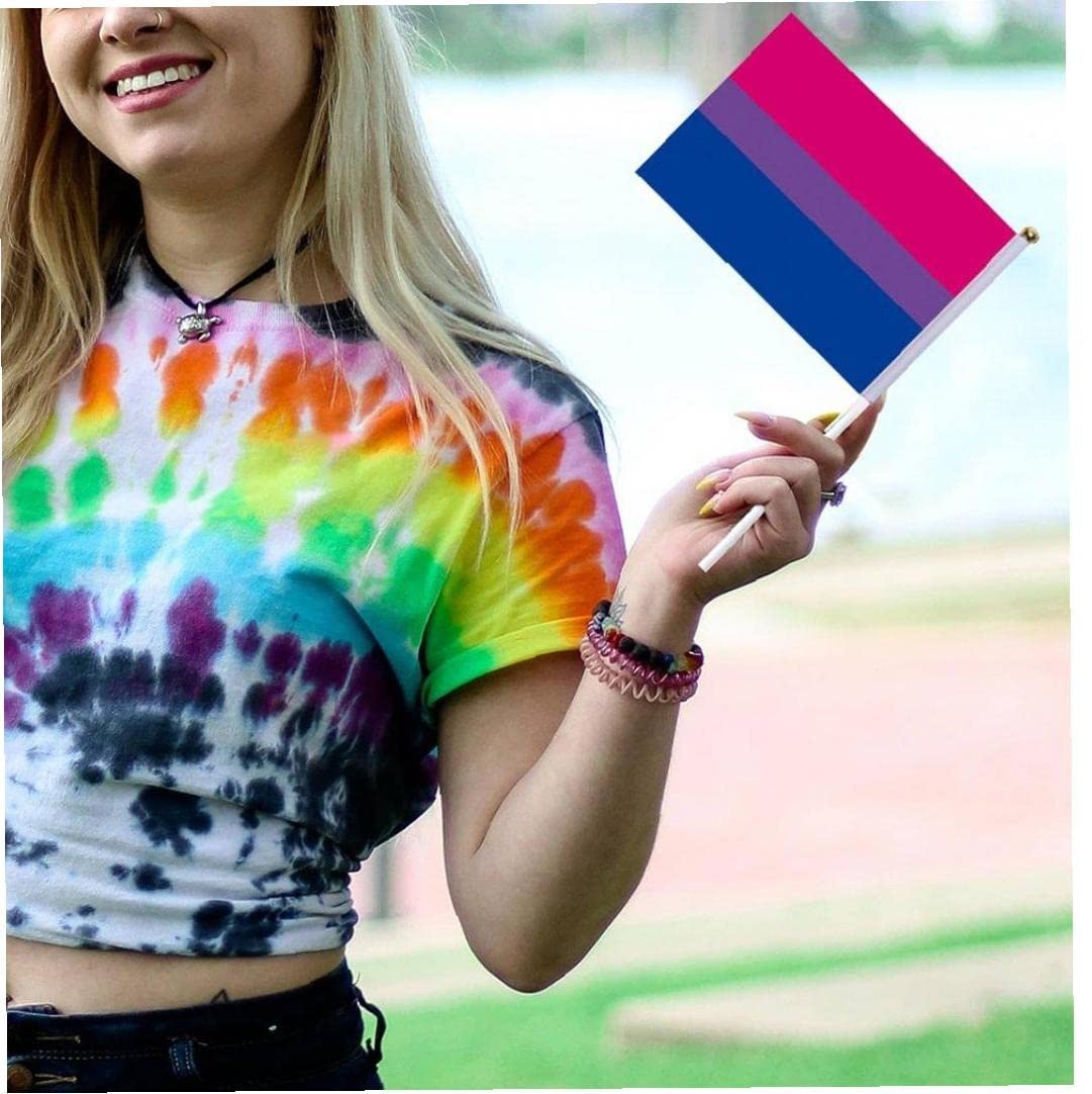 Luxylei Bisexual Pride Rainbow Flags 10pcs Small Mini Hand Hand Bisexual Bi Stick Flag Gay LGBT Festival Party Parades Décorations