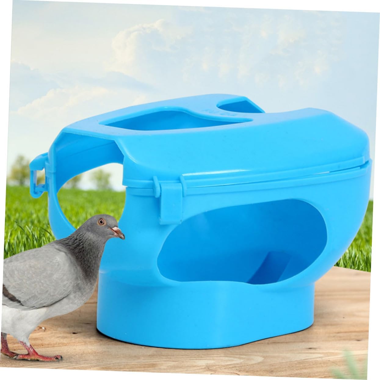 YARNOW 6Pcs Pigeon Injection Holder Bird Feeder for Easy Medicine Administration and Observation Pigeon Supplies Hollow Out Design for Comfortable Use