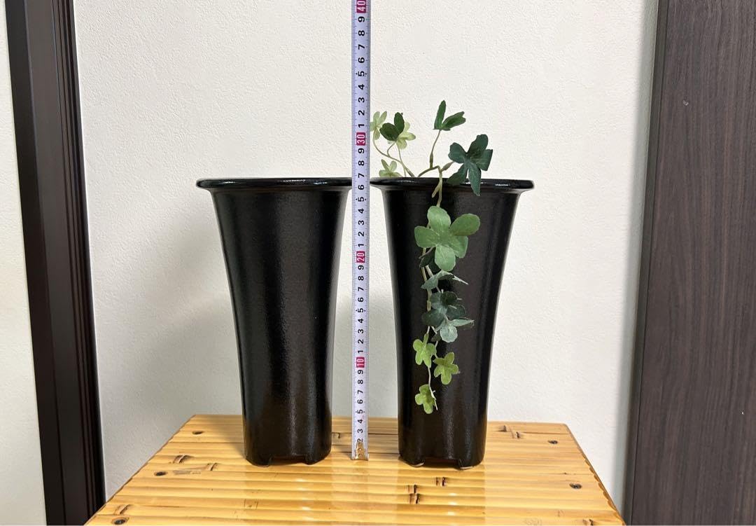 Amazon.co.jp: 植木鉢 寒蘭鉢 春蘭鉢 エビネ 山野草 5号 個組 : DIY 