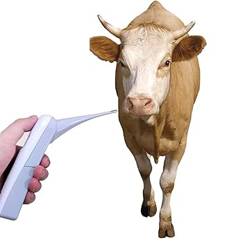 Pet Fever Thermometer Digital Fever Thermometer For Horses Cattle Pethermometer Waterproof Animal Thermometer With Lcd Screen For Pigs Sheep Cattle Dog Cat Cats