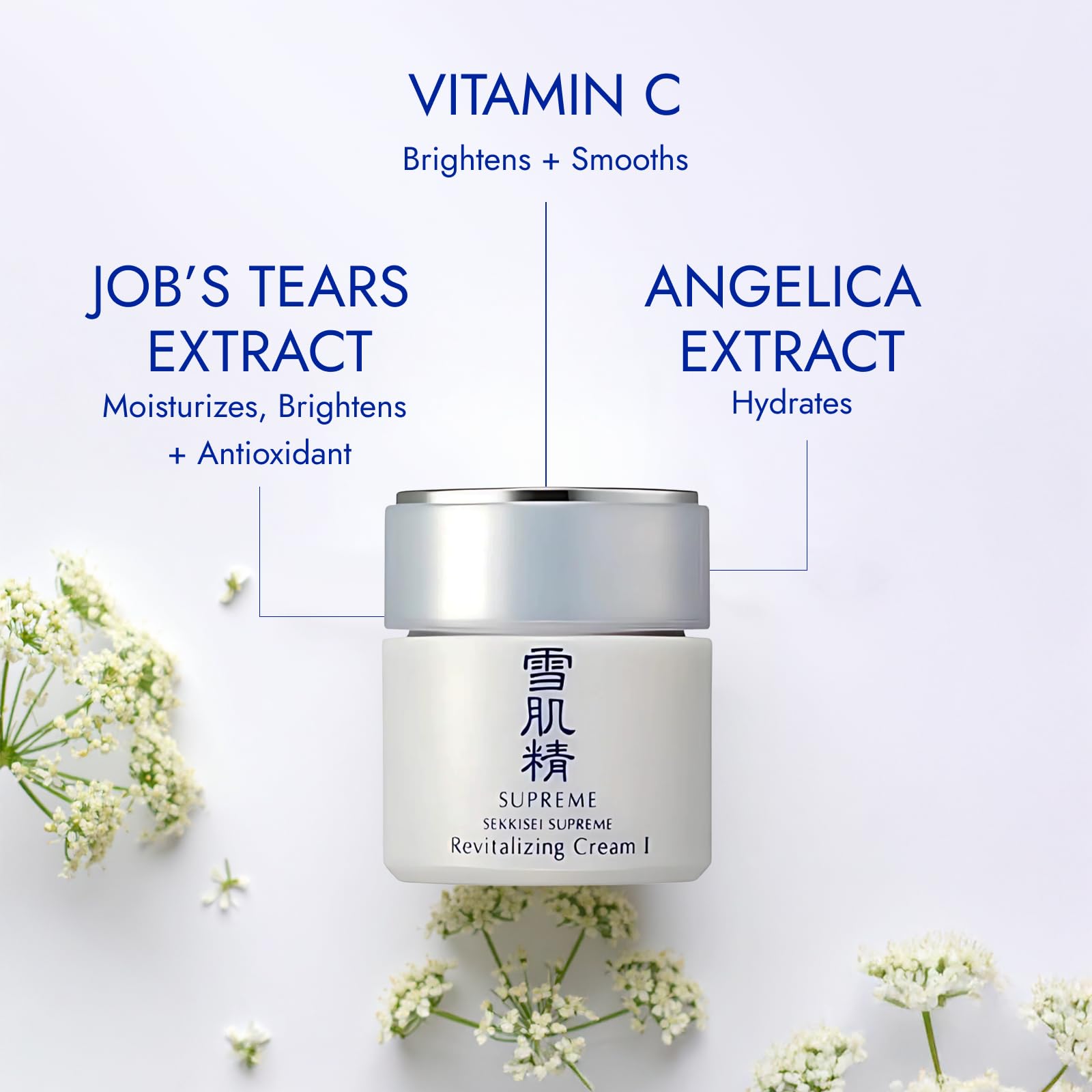 Amazon.com: Kose Sekkisei Supreme Revitalizing Cream I 38ml