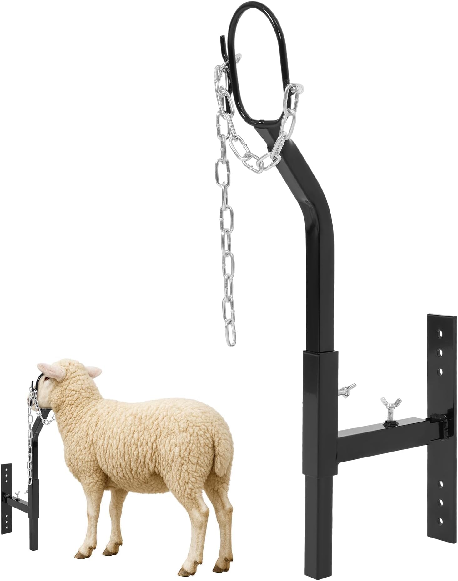 Steel Livestock Gate Attachment Nose Loop Headpiece - Height&Width Adjustable, Powder-Coated & Galvanized, for Sheep & Goat Trimming, Grooming, Milking