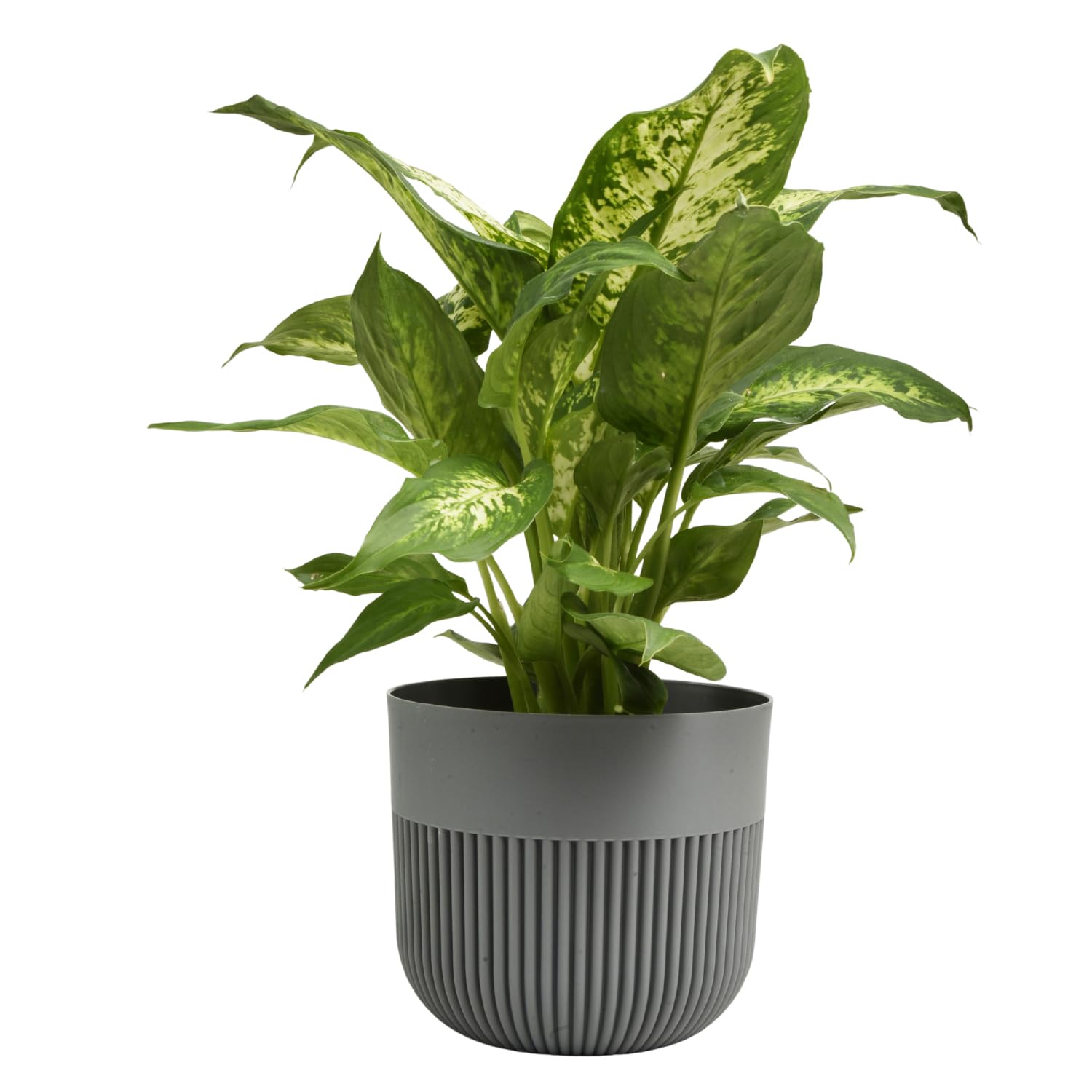 B2C Matt Ribbed Flower Pot – Modern Plastic Planter for Indoor & Outdoor Plants, Herbs & Succulents – Lightweight, Durable, Easy-Clean Design – Multiple Sizes & Colours (Dark Grey, 13cm)