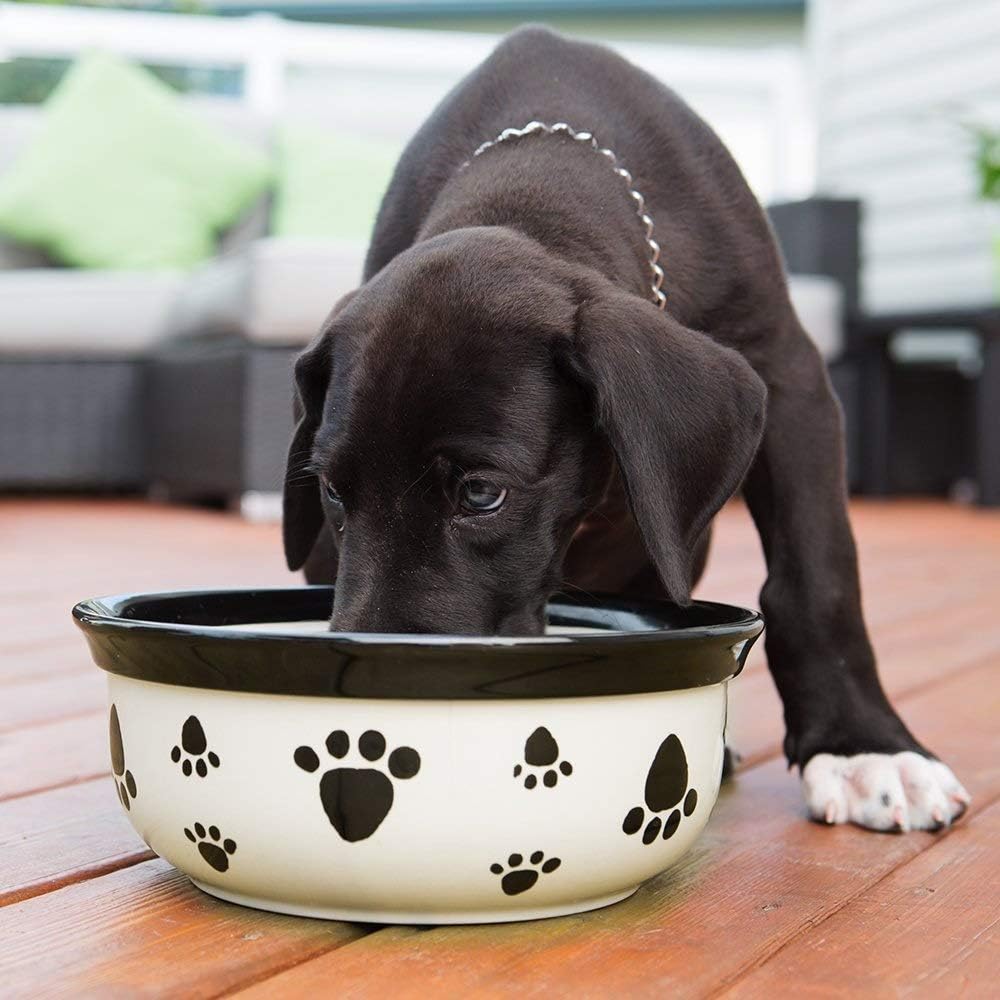 dog breath mints amazon