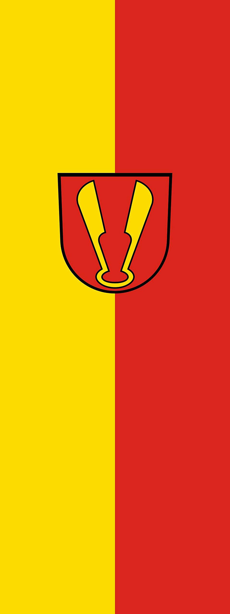 Drapeau Ispringen vertical 6m² mât haute résistance 400x150cm