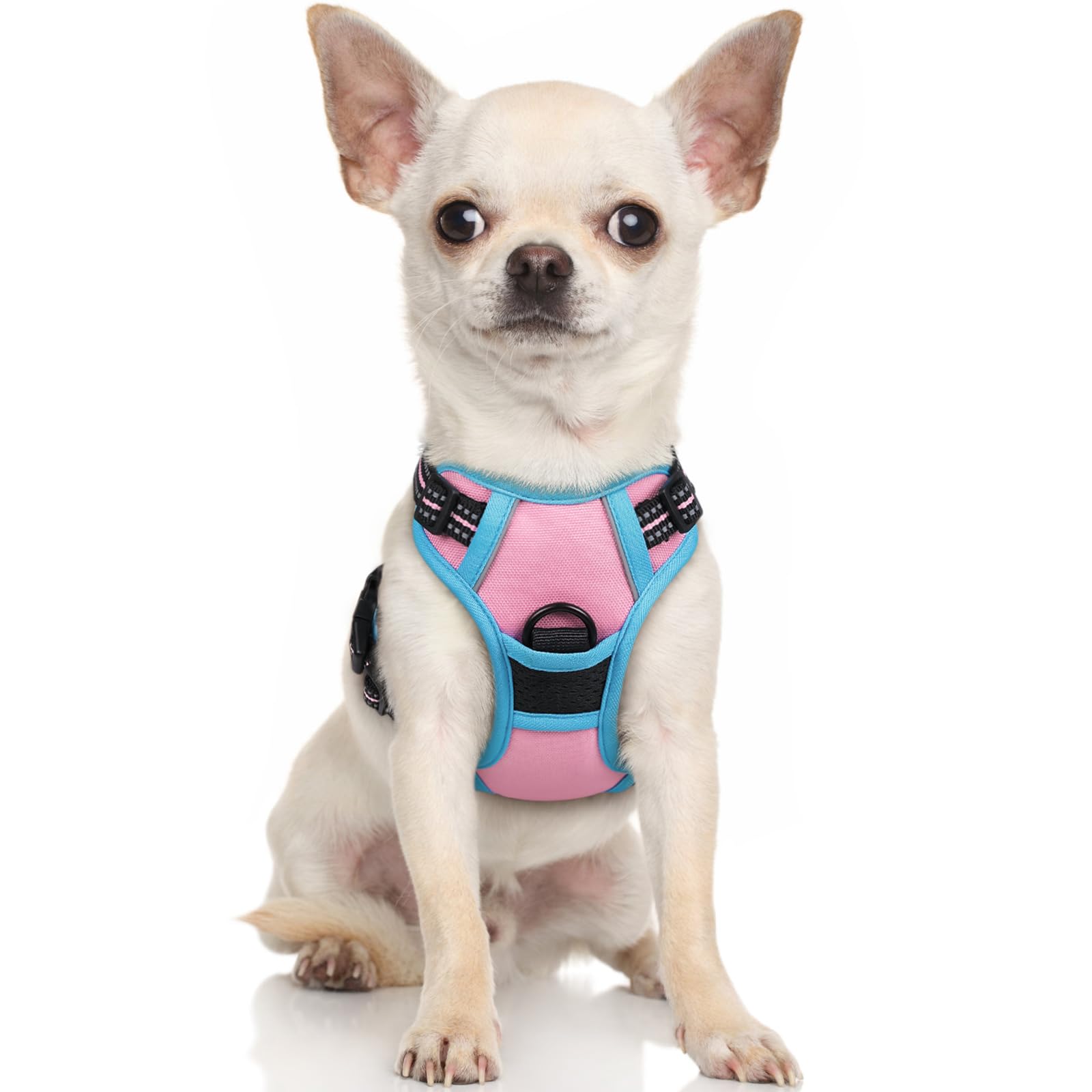 rabbitgoo Dog Harness Small Dog No Pull Pet Harness with 2 Leash Clips, Adjustable Soft Padded Pet Vest, Reflective No-Choke with Easy Control Handle for Training or Walking, Pink Blue XS