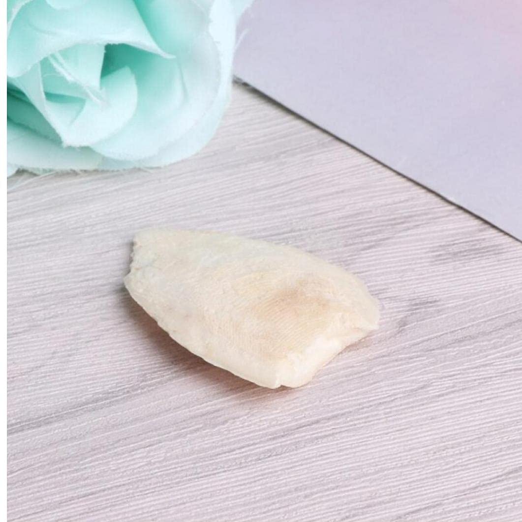 1 Bag Bird Desalting Cuttlebone Toy Cuttlefish Sepia Bone Training Chew Molar Toy for Parrot