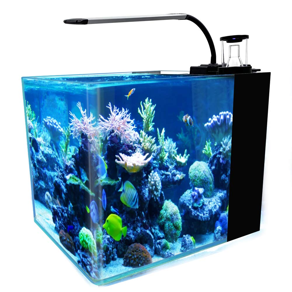 Buy GankPike 31Litre Curved Corner Saltwater Aquarium Marine Fish Tank Reef Tank with Lid