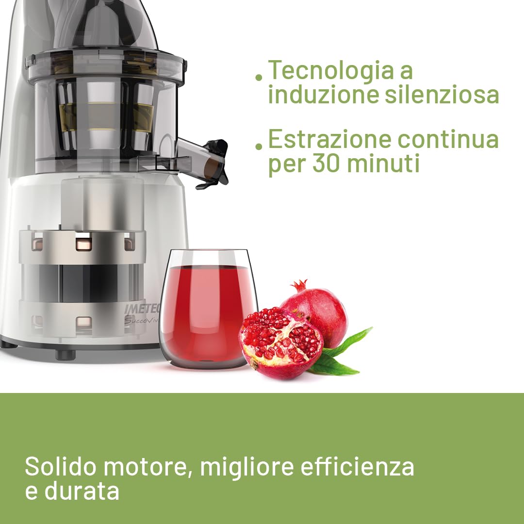 Imetec Succovivo Pro 2000, Estrattore di Succo, Spremitura a Freddo 48 Giri/Min, 100% Vitamine, Filtro per Succhi, Filtro Succhi con Fibre, Cestello per Sorbetti, Ricettario