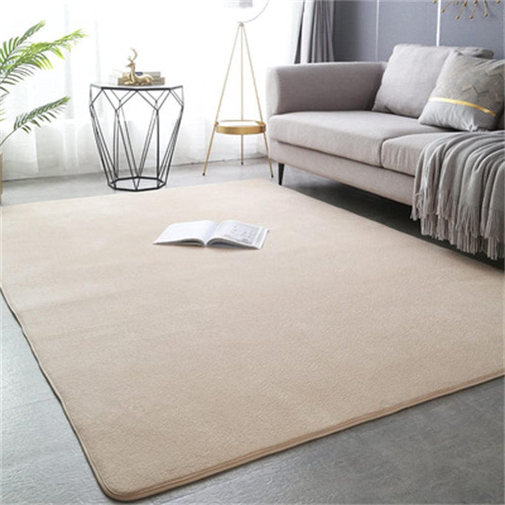 Tapis en velours shaggy DASHADAO grand tapis moderne de qualité
