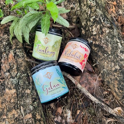 Image of Morning Root by Nirwana - Wild Bee Tualang Honey, Malaysian Rainforest Multifloral Honey, 325 g Glass Jar
