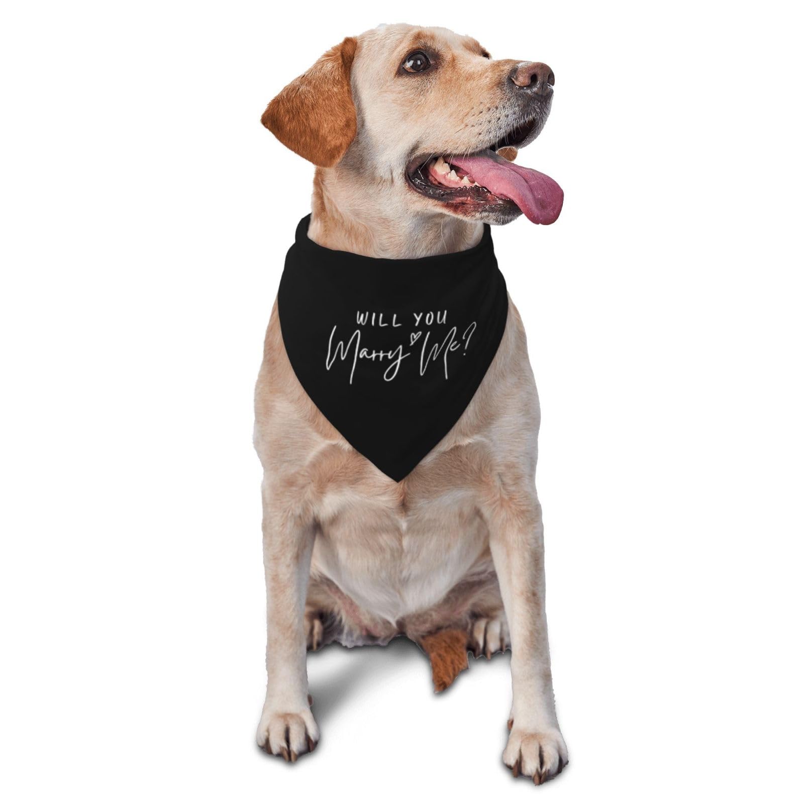vercosee Will You Marry Me? Wedding Engagement,Announcement,Marriage Proposal Dog Bandana, Pet Accessories for Dog Lovers,Wedding Photo Props Accessories (Black)