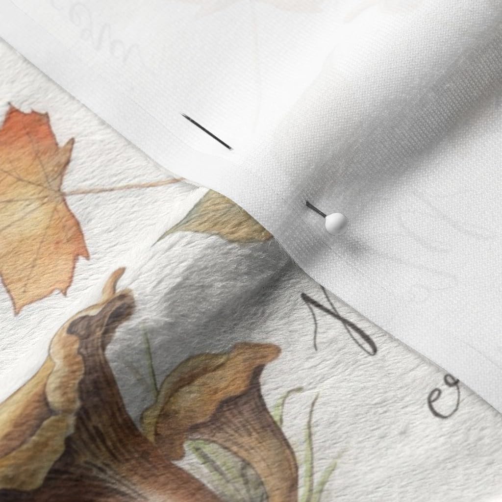 Spoonflower Fabric - Botanical Mushrooms Vintage Autumn Fall Watercolor Printed on Minky Fabric by The Yard - Sewing Baby Blankets Quilt Backing Plush